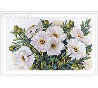 Merejka K-118 White Flowers Counted Cross Stitch Kit, Cotton, Multi-Colour, 47 x 30 cm
