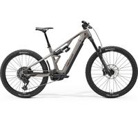 Merida Lithos 6000 Warm Slate Grey(Golden Black)