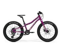 Merida Matts Junior 20+ Kids Bike 2022 Purple