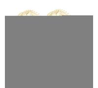 Meridian Brush Massage Brush,Massage Meridian Ergonomic Design - Long Lasting Comb for Relaxation and Stress Relief
