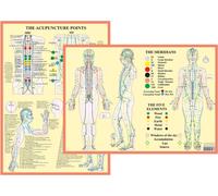 Meridians and 5 Elements