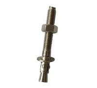 MERIGLARE Wedge Anchor Climbing Hold Premium Hardware Expansion Bolt for Concrete, Masonry, Cement, Work at Heights, Home Gym, And Mountaineering, M8