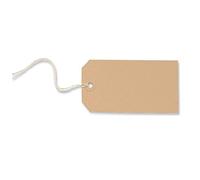 Merit Strung Tag 120x60mm Buff - Ref TG8074 (Pack 1000)
