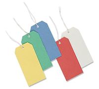 Merit Strung Tags Bulk Boxes Dark Green [Pack of 1000]