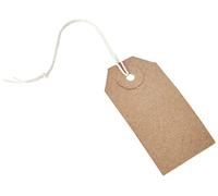 Unstrung Tags 1A 70 x 35mm Buff Single (1000 Pack) TG8021