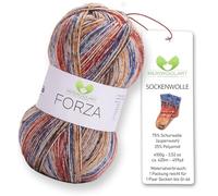 MeriWoolArt® Sock Yarn with 4 Threads - 100g Merino Wool Yarn for Knitting & Crocheting, 75% Virgin Wool (superwash), 25% Polyamide, 420m - Ideal for Socks for Men and Women, Sweaters & Cardigans 2602