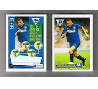 MERLIN FA Premier League 1996 football card No 22 DUNCAN FERGUSON