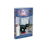 Merlin le magichien, Vol.4 : Merlin, chef de bande