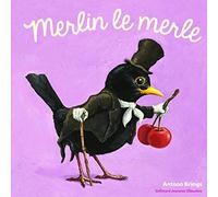 Merlin le merle