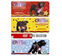Merlin The Magical Puppy [DVD]