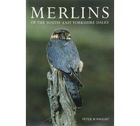 Merlins of the South-East Yorkshire Dales