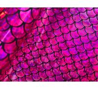 Mermaid Scale Fabric - Iridescent Fish Tail Foil Stretch Spandex Material - 150cm Wide - Shiny Metallic Costume & Craft Fabric (Pink on Black, 2 Metres)