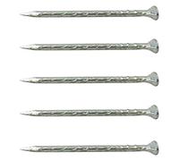 Merriway BH03607 (100 gm) Plasterboard Nails with Jagged Edge 30 mm (1.1/4 Inch) - Pack of 100 gm, Silver