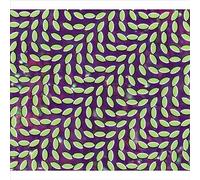 Merriweather Post Pavilion by Animal Collective (Record, 2009)