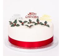 Merry Christmas Cake Decorations 3 signs 6 Holly Yule Log Cupcake Craft Toppers