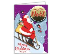 Merry Christmas Card Embossed Collage Glossy Text with White Envelope 12 x 17.5 cm - Santa Sledge Hood Gifts Birds Robins Tree Under Snow Winter Best Wishes for Child Family