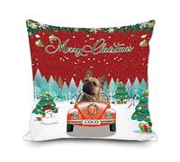 Merry Christmas Custom Throw Pillow Cover Cute Dog French Bulldog in the Car Christmas Tree with Snowman Snowflake Decor Winter Couch Cushion Pillowcase 18x18 Inch Square Print Double Sides