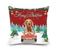Merry Christmas Custom Throw Pillow Cover Lovely Dog Vizsla in the Car Christmas Tree with Snowman Bells Snowflake Decor Winter Couch Cushion Pillowcase 20x20 Inch Square