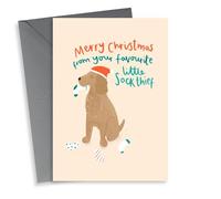 Merry Christmas From Your Favourite Little Sock Thief - From the Dog - Dog - Cute - Furry Friend - Christmas Card
