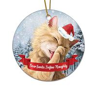Merry Christmas Ornaments Cute Cat Dear Santa Define Naughty Flat Circle Ceramic Ornament for Christmas Tree Hanging Decoration Xmas Keepsake Winter Memorial Holiday Souvenir New Year Party Decor