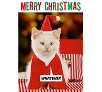 Merry Christmas Whatever! Funny Christmas Card