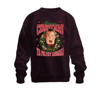 Merry Christmas Ya Filthy Animal Kevin McCallister - Home Alone Christmas Xmas Unisex Christmas Jumper, burgundy, XXL