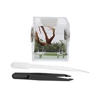 MERRYHAPY 1 Set Small Transparent Reptile Feeding Box Breeding Habitat for Jumping Spiders with Ventilation for Fresh Air Flow Durable Design for Comfortable Pet Growth