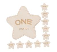 MERRYHAPY 12pcs Star Shaped Wooden Cards for Photos Double-Sided Monthly Announcement Signs for Newborn Photography and Showers