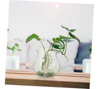 MERRYHAPY 8Pcs Clear Hydroponic Succulent Planter Bowls for Spaces Transparent Terrarium Vases with Creative Design for Easy Growth Monitoring and Indoor Home Decor