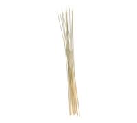 MERRYHAPY Natural Grass Sticks for Crickets Fighting Safe and Practical Stimulation Tool for Training and Practice Bundle of Authentic Grass Stems for Engaging Crickets Battles