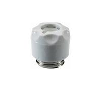 Mersen 00591.000200 DIII Screw Cap Fuse 63A 500V Porcelain with Hole