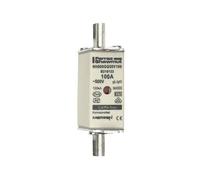 Mersen 1B663.000000 NH Fuse Size 000 100A 500V Cable & Line Protection