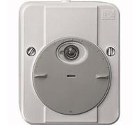 Merten 544890 Argus Twilight Timer, Grey