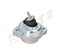 MERTZ M-S4956 Mounting, engine