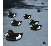 Merzbow - 13 Japanese Birds:Kamo