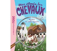 Mes amis les chevaux 12 - Mystère au centre équestre (Mes amis les chevaux - Sophie Thalmann (12))
