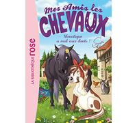 Mes amis les chevaux 13 - Moustique a mal aux dents ! (Mes amis les chevaux - Sophie Thalmann (13))