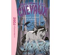 Mes amis les chevaux 21 - La grande aventure d'Andalou (Mes amis les chevaux - Sophie Thalmann (21))