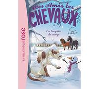Mes Amis Les Chevaux 25 - la Tempête de Neige (Mes Amis Les Chevaux - Sophie Thalmann (25)
