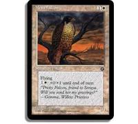 Mesa Falcon (Perching) | Homelands