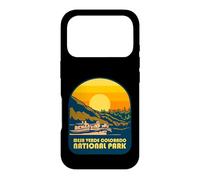 Mesa Verde Colorado National Park Retro Sunset Case for iPhone 17 Pro