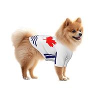 Mesh Dog T Shirt For Small Dogs - Breathable Cat Clothes The Flag Of Scarborough