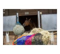 Mesh Hay Net hippotonic