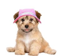 Mesh Sun Hats for Dog Cat Mesh Sun Hats for Dog & Cat, Round Brim Visor | Pet Sombrero Dog Straw Hat Cat Woven Hat