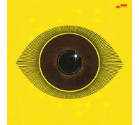 Meshell Ndegeocello - No More Water: The Gospel Of James Baldwin