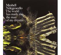 Me'Shell Ndegeocello - World Has Made Me The Man Of My Dreams