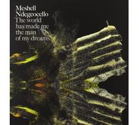 Meshell Ndegeocello - World Has Made Me The Man Of My Dreams