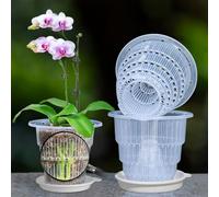 Meshpot 4 inch Clear Orchid Pots with Holes and Saucers for Repotting,Pack of 4,Small Plastic Orchid Planters Provide Good Air Circulation,Nursery Pots for Succulents,Herbs,Aloes,Mint