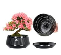 Meshpot 8 Inch Bonsai Pots with Drainage Tray, Set of 1, Plastic Imitate Ceramic Bonsai Tree Pot with Excellent Airflow, Large Succulent Pots for Indoor Plants, Juniper, Ficus, Chinese Elm, Cactus