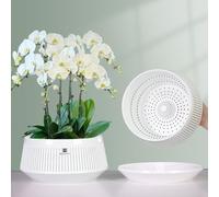 Meshpot Orchid Pots with Holes for Repotting, Decorative Orchid Planter with Air-Pruning and Good Air Circulation, Plastic White Orchid Container with Saucers, 21 cm, Set of 1